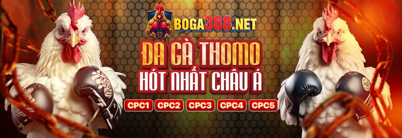 Đá Gà Trực Tuyến lotery92